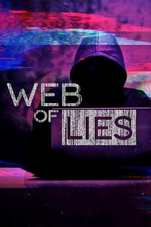 Poster Web of Lies 2014