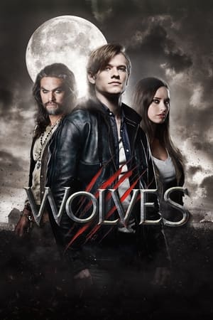 Poster Wolves 2014
