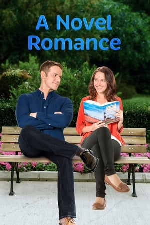 Poster A Novel Romance 2015