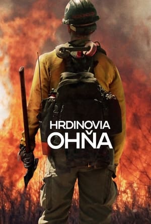 Poster Hrdinovia ohňa 2017