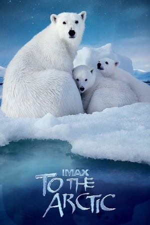 Poster To the Arctic 3D 2012