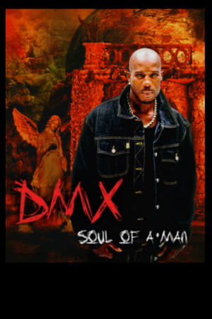 Image DMX: Soul of a Man