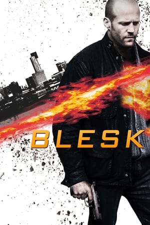 Poster Blesk 2011
