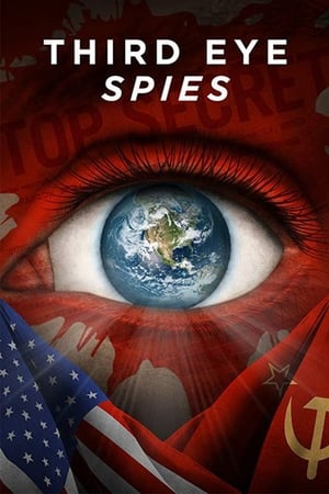 Poster Third Eye Spies 2019