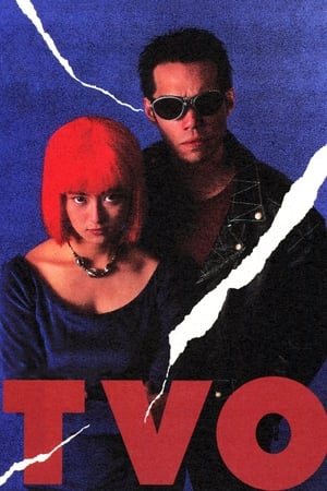 Poster TVO 1991