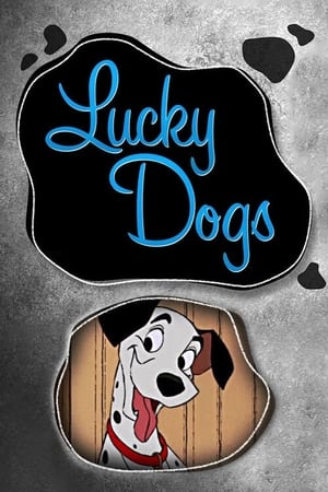 Poster Lucky Dogs 2015