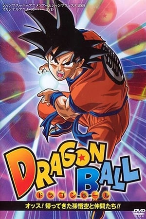 Poster Dragon Ball Z OVA 2 - Son Goku és barátai visszatérnek! 2008