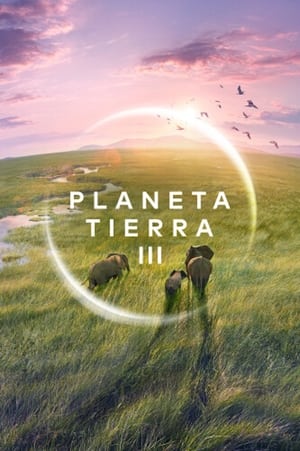Image Planeta Tierra III