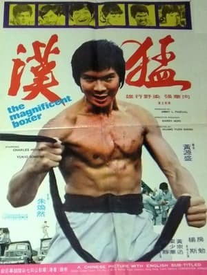 Poster Meng han 1973