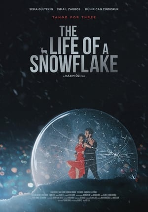 Image The Life of a Snowflake