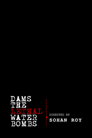 Poster Dams: The Lethal Water Bombs 2011
