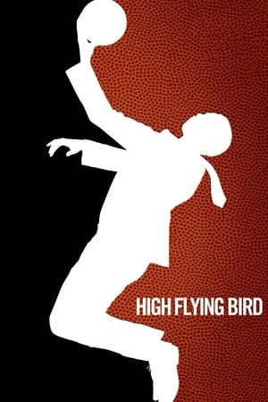 Poster High Flying Bird 2019