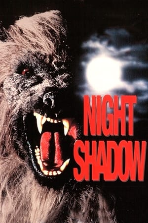 Poster Night Shadow 1989