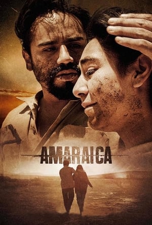 Poster Amaraica 2020