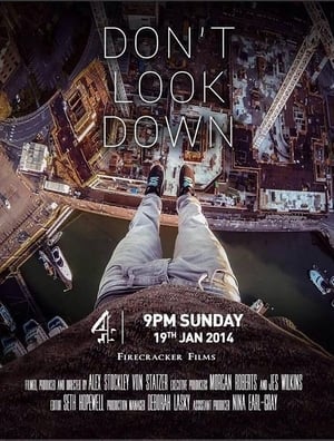 Poster Don't Look Down 2014