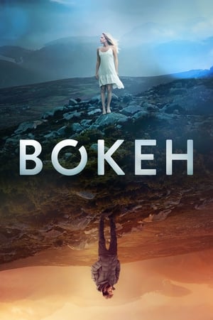 Poster Bokeh 2017