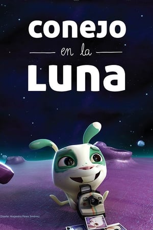 Poster Conejo en la Luna 2013