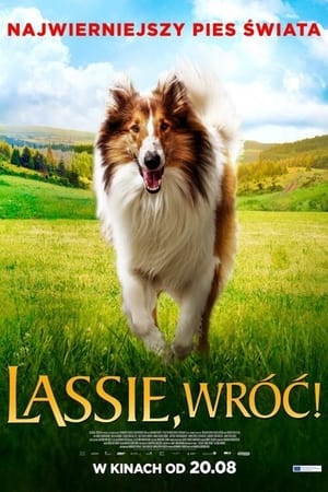 Image Lassie, wróć!