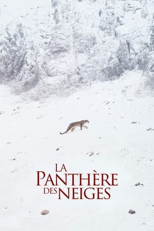 Poster La Panthère des neiges 2021
