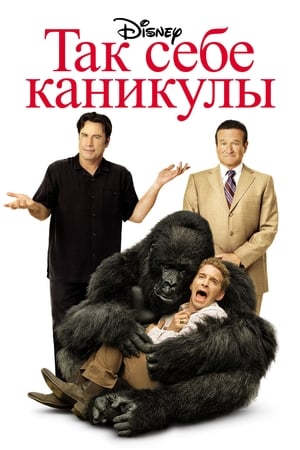 Poster Так себе каникулы 2009
