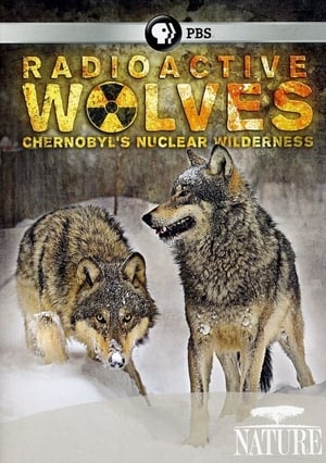 Image PBS Природа - Радиоактивные волки