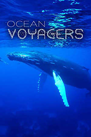Poster Ocean Voyagers 2007