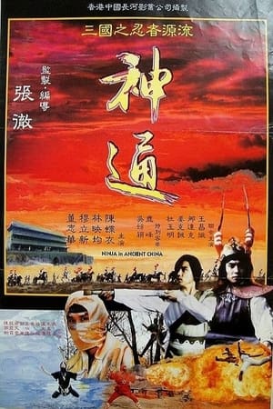 Poster 神通 1993
