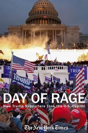 Poster Day of Rage: How Trump Supporters Took the U.S. Capitol 2021