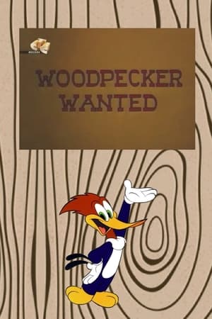 Poster Woodpecker Wanted 1965