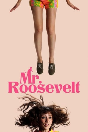Poster Mr. Roosevelt 2017