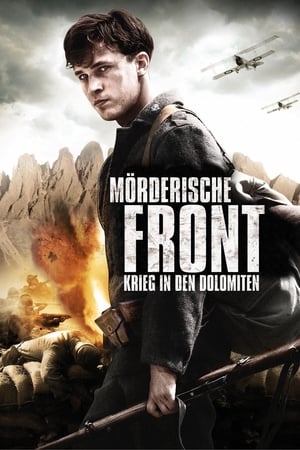 Poster Wojna w Dolomitach 2014