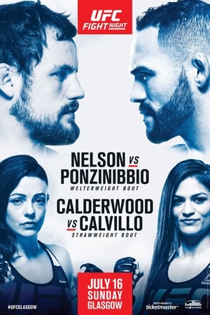 Poster UFC Fight Night 113: Nelson vs. Ponzinibbio 2017