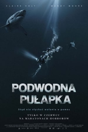 Poster Podwodna pułapka 2017