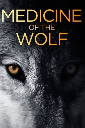 Poster Магия волка 2015