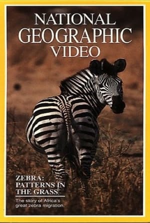 Poster Zebras: Patterns in the Grass 1991
