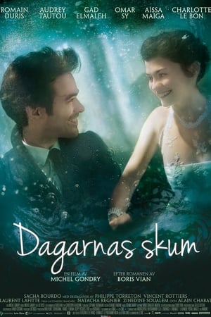 Poster Dagarnas skum 2013