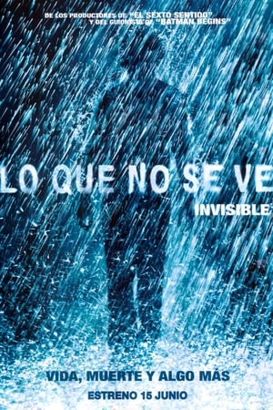Poster Lo que no se ve (The Invisible) 2007