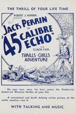 Poster 45 Calibre Echo 1932