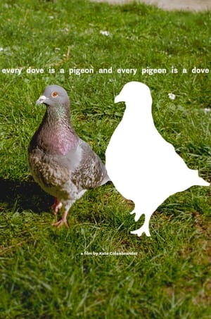Image every dove is a pigeon and every pigeon is a dove