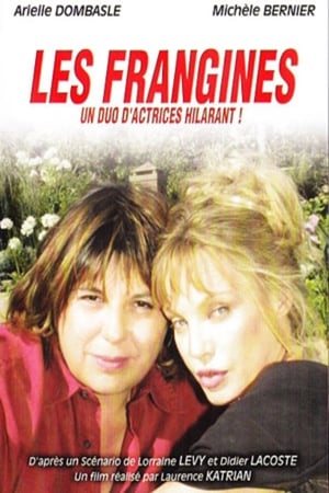 Poster Les frangines 2002