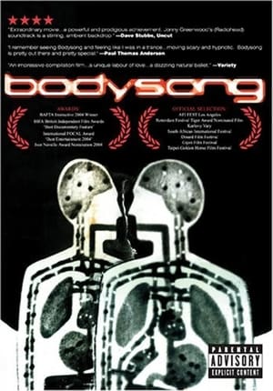 Poster Bodysong 2003