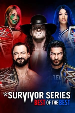 Poster WWE Survivor Series 2020 2020