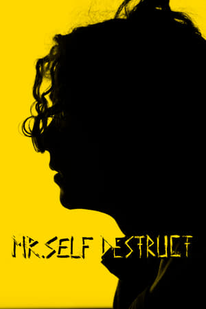 Poster MR. SELF DESTRUCT 2022