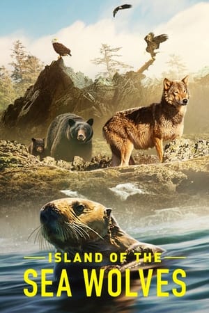 Image Hòn đảo của sói biển