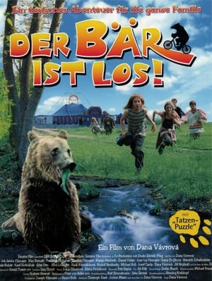 Poster Der Bär ist los! 2000
