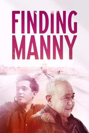 Poster Finding Manny 