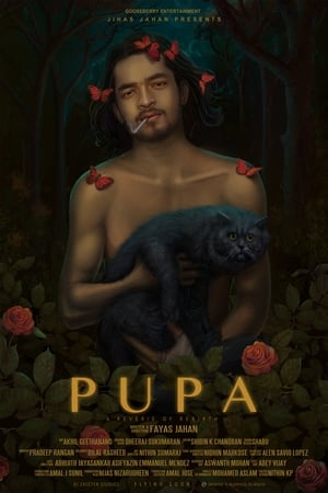 Poster Pupa 2020