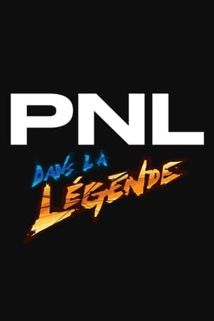 Poster PNL - Dans la légende tour 2020