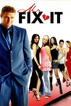 Poster Mr. Fix It 2006