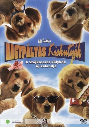 Poster Nagypályás kiskutyák 2006